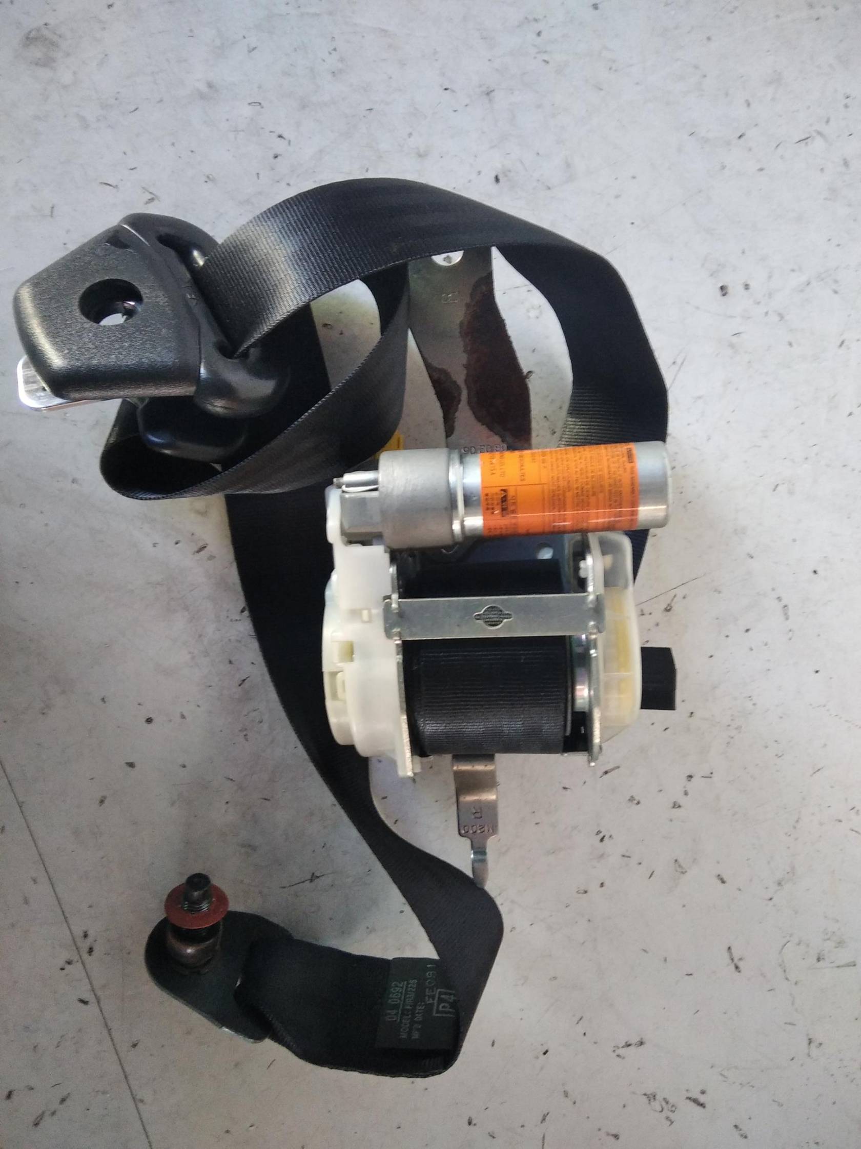 Cintura di sicurezza ant. dx.